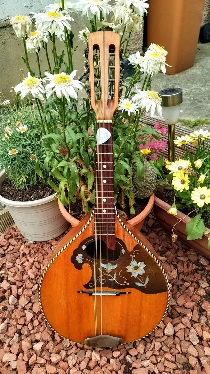Mandolin - Image 2