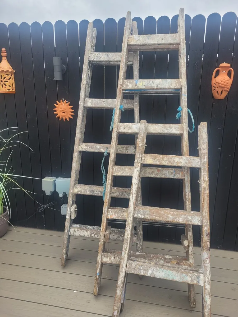 Professional Painters Ladders - Image 1