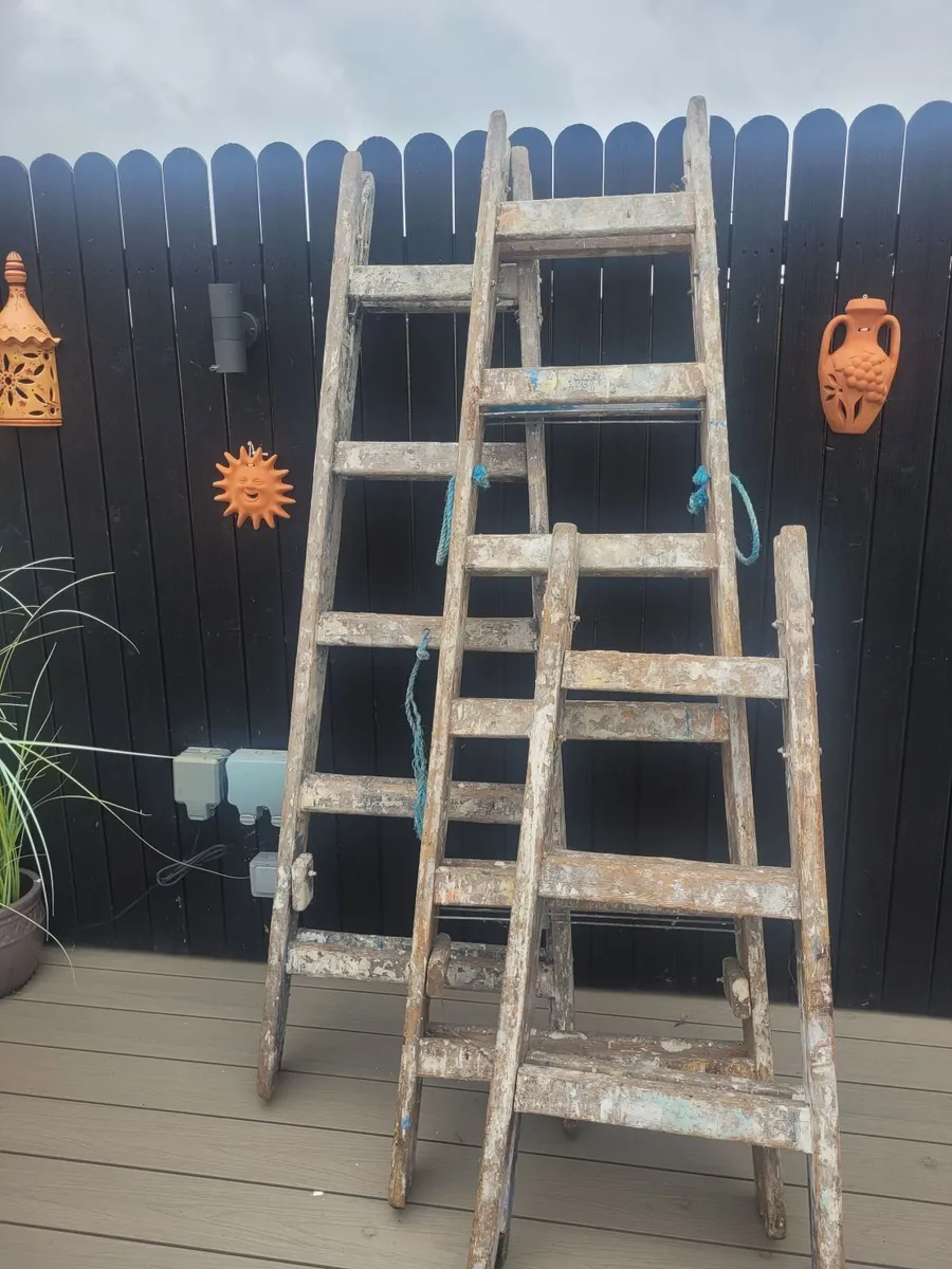 Professional Painters Ladders - Image 2