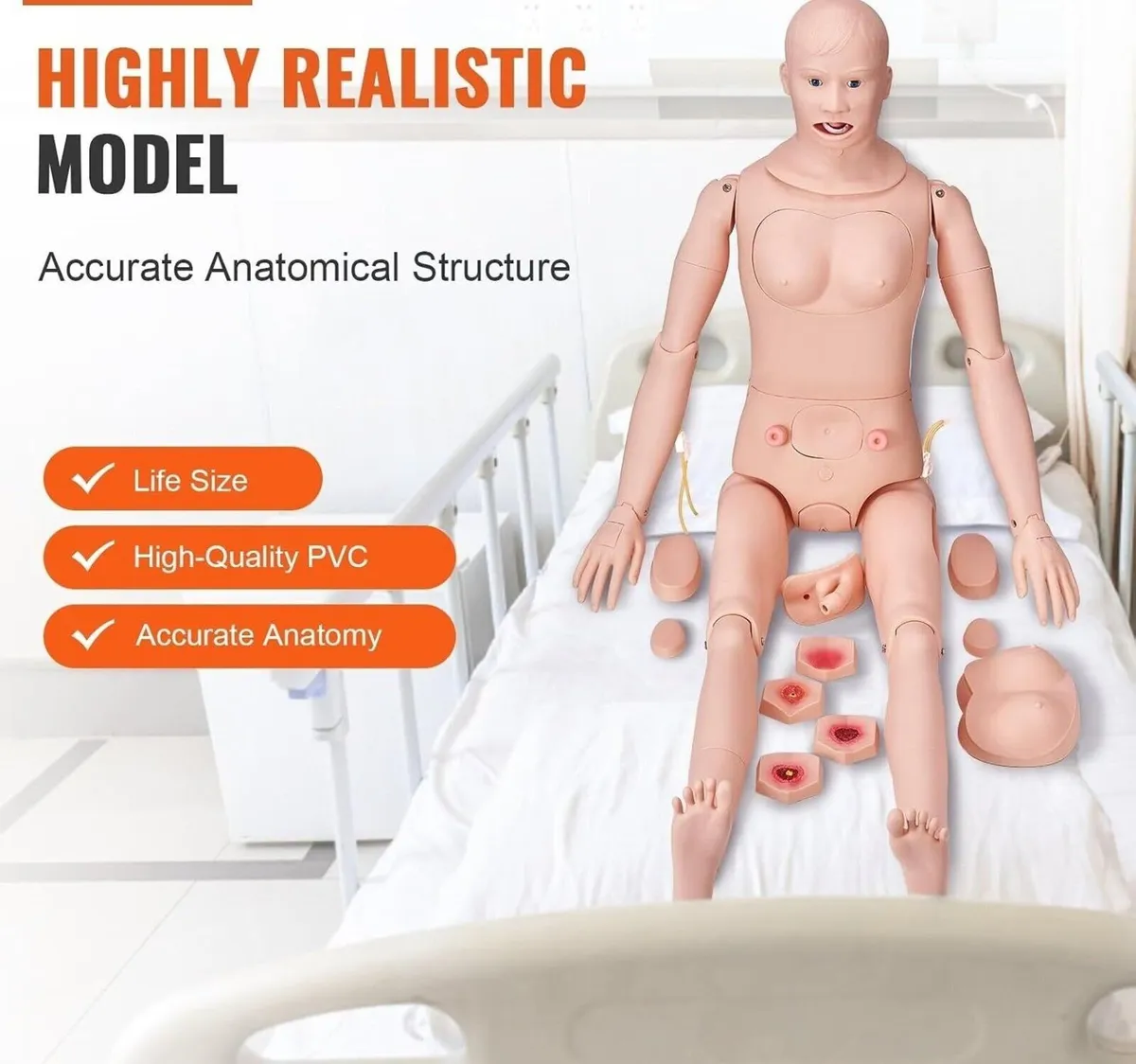 175cm Nursing Training Manikin Male & Female - Image 4