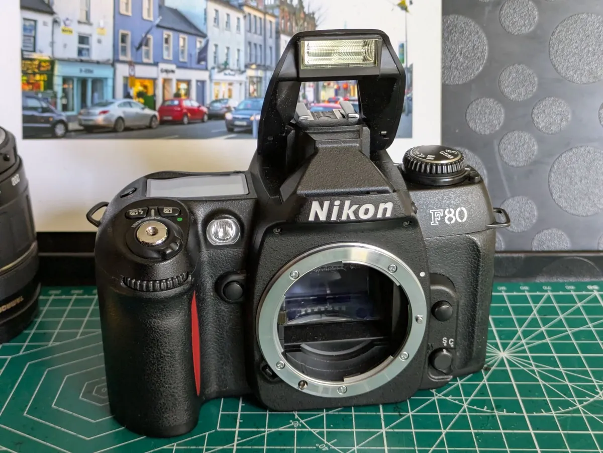 🎞️ Nikon F80 - Image 2