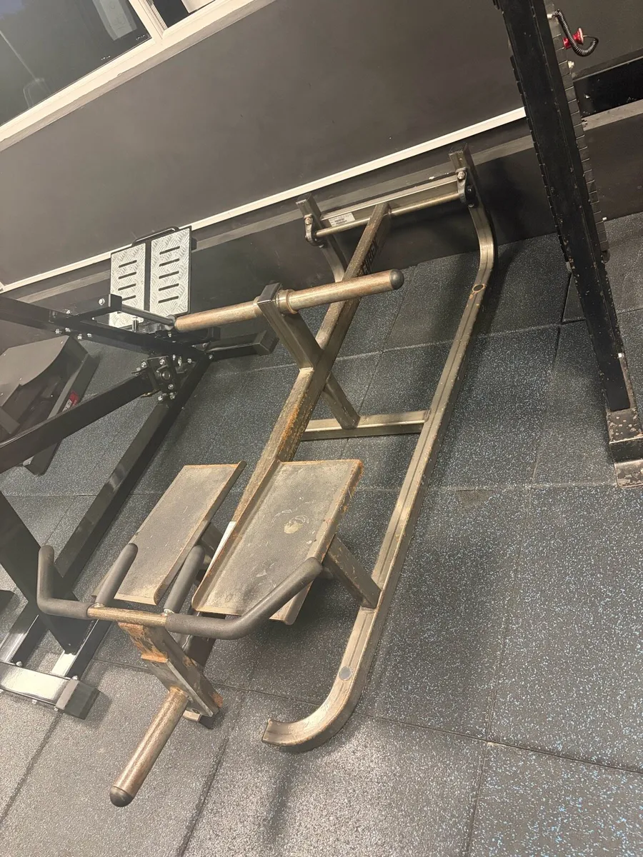 Cybex t bar row - Image 1