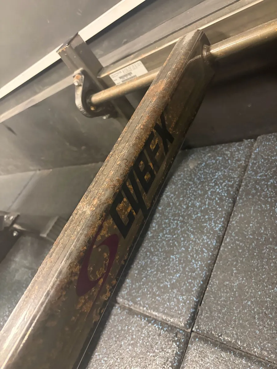 Cybex t bar row - Image 2