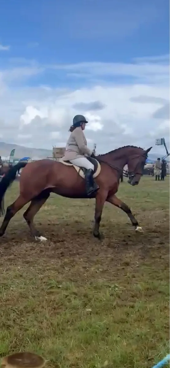 Future event horse - Image 1