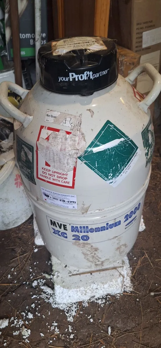 Boer goat semen tank with contents. - Image 2
