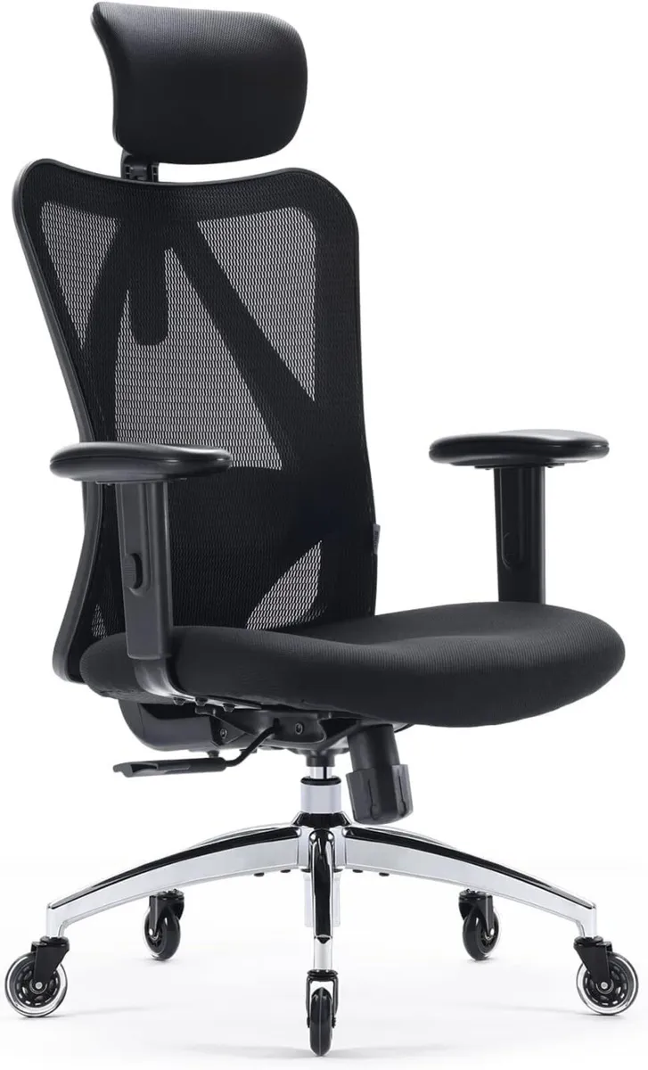 M18 Ergonomic Office Chair Adjustable Lumbar - Image 1