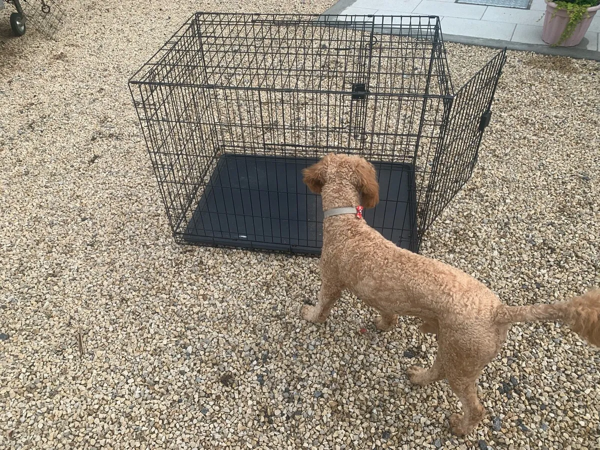 Dog crate - Image 2