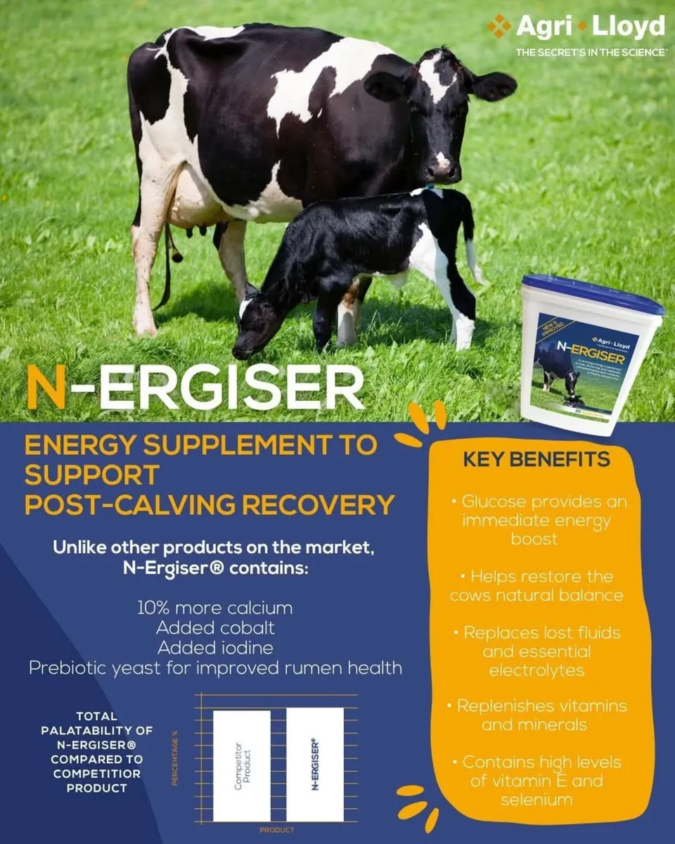 Stop milk fever dead this Autumn - Image 2