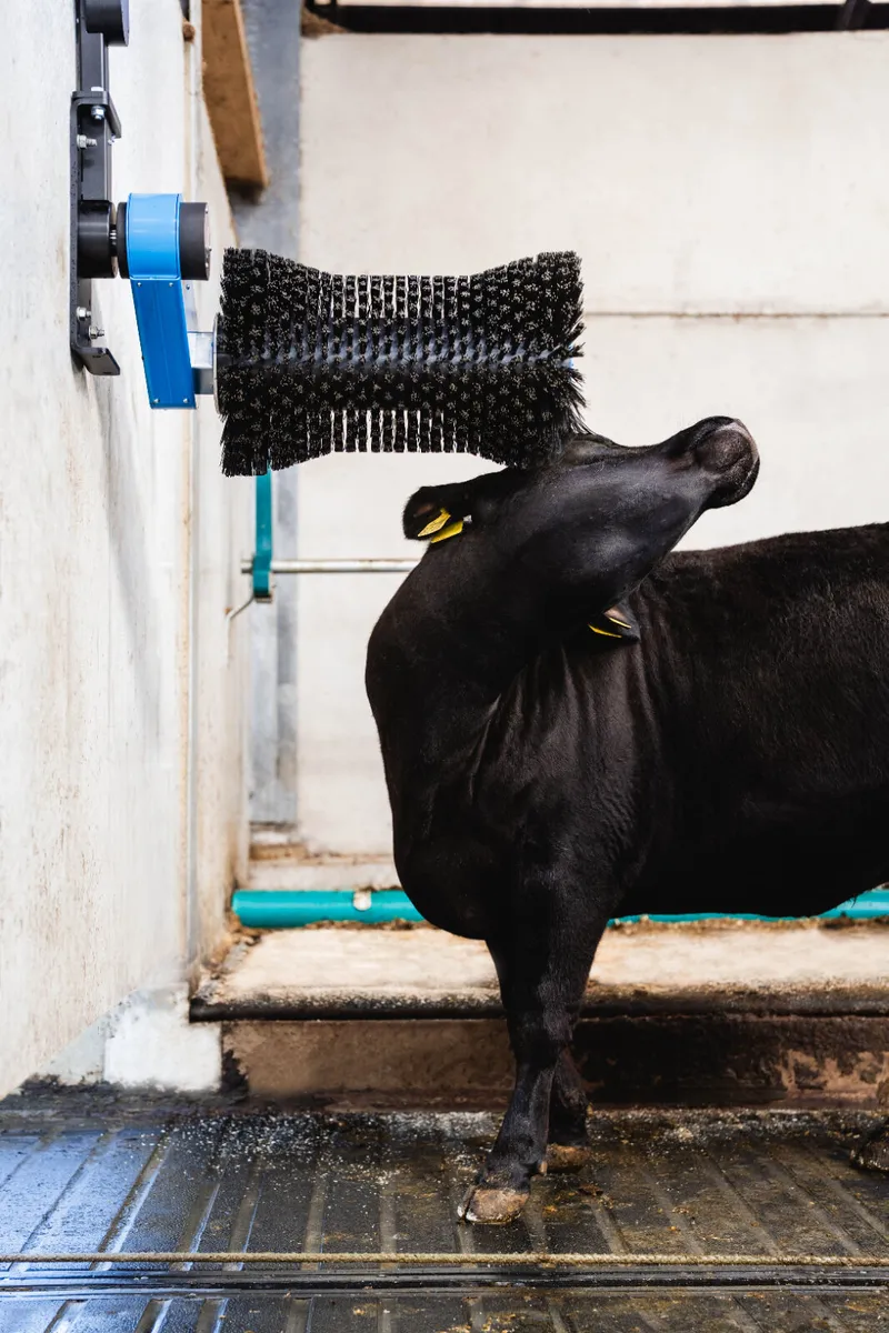 EASYFIX Halo Cow Brush - Image 2