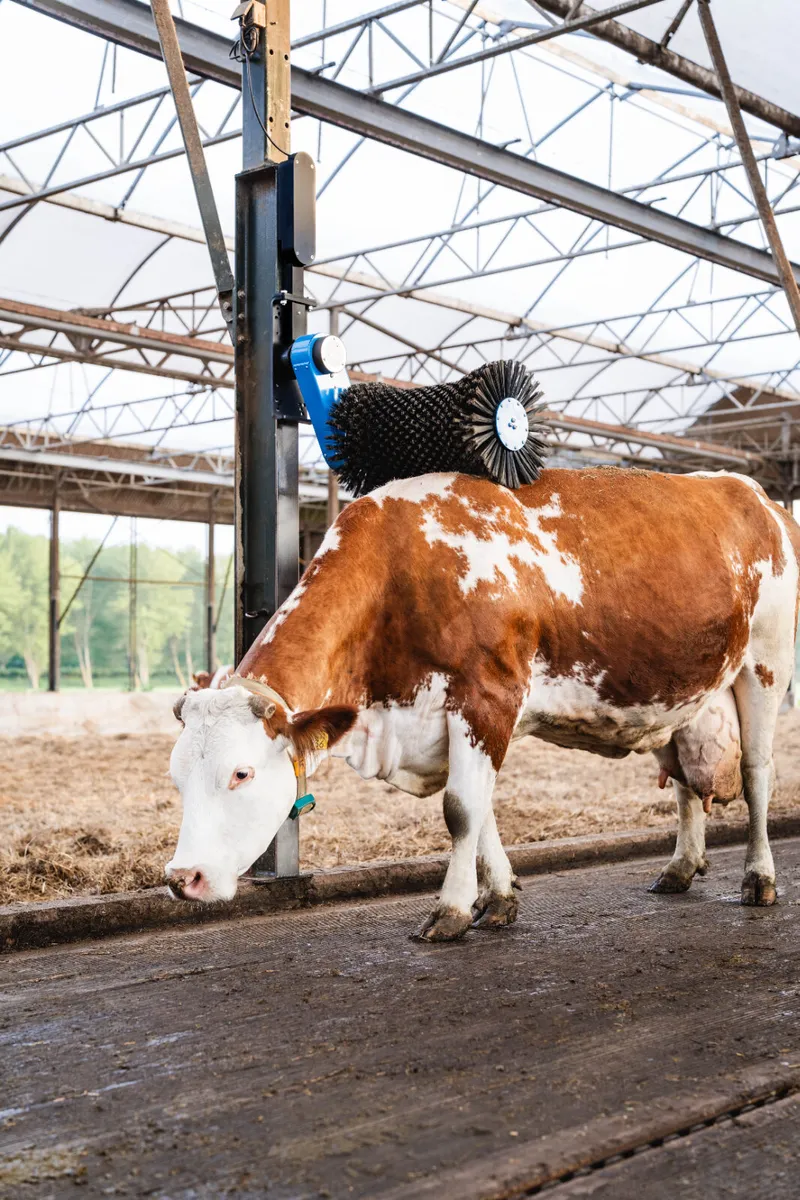 EASYFIX Halo Cow Brush - Image 1