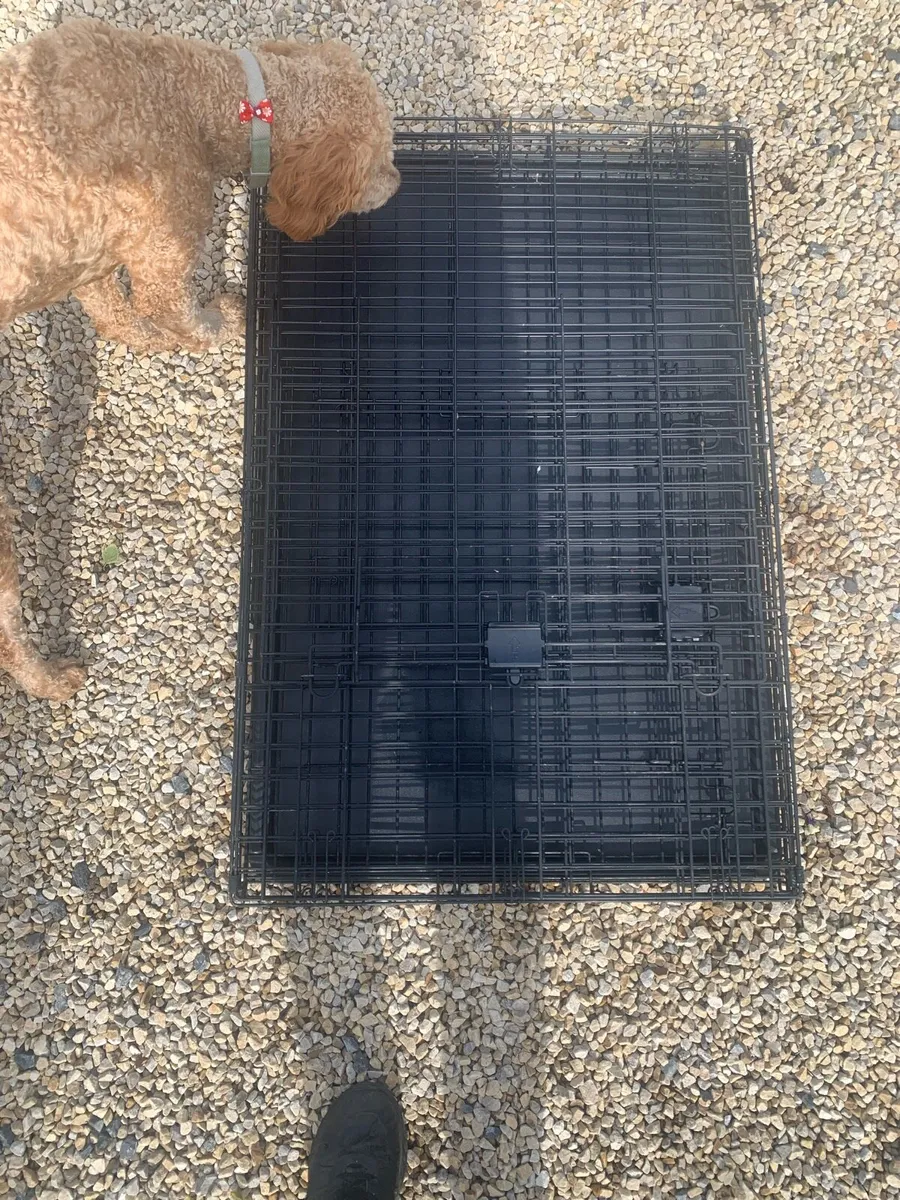 Dog crate - Image 4