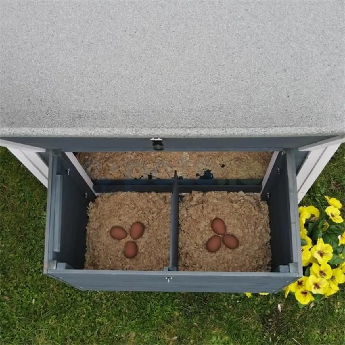 Chicken Coop - Image 4