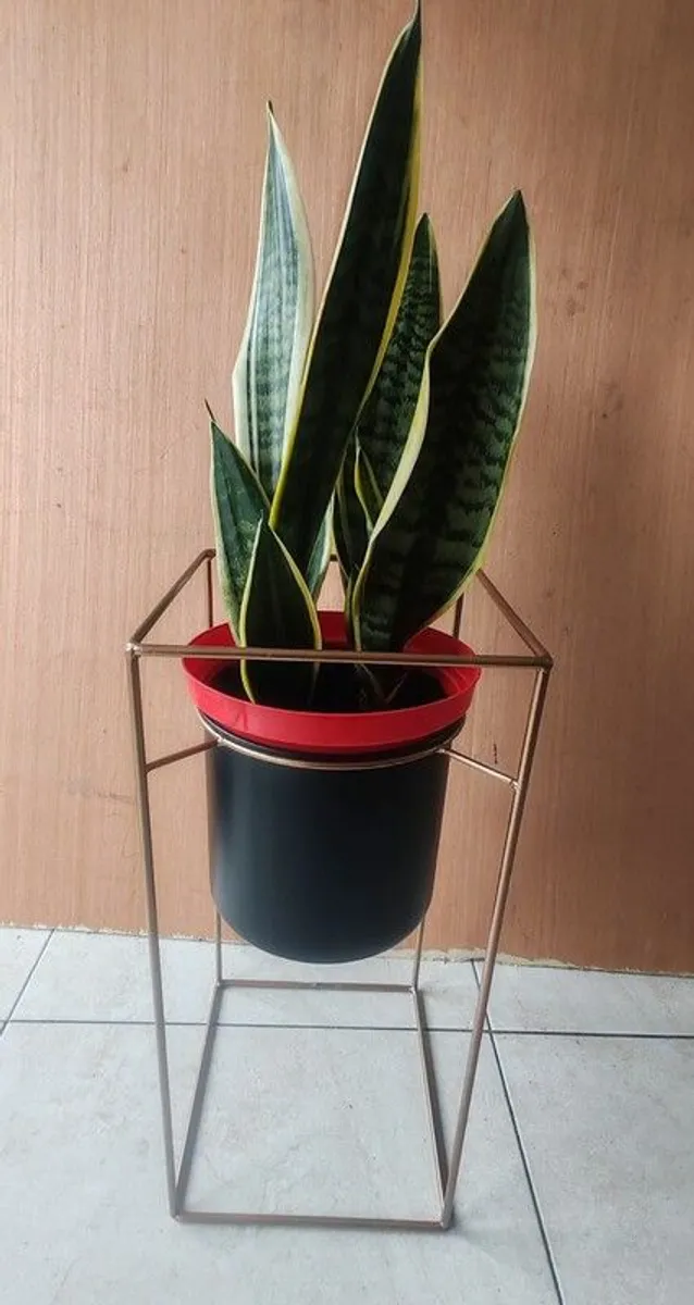 Plant Stand Solid Metal - Image 1