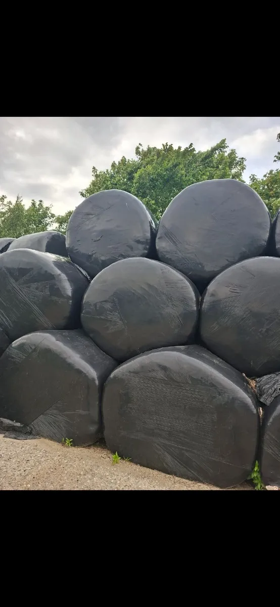 Silage bales