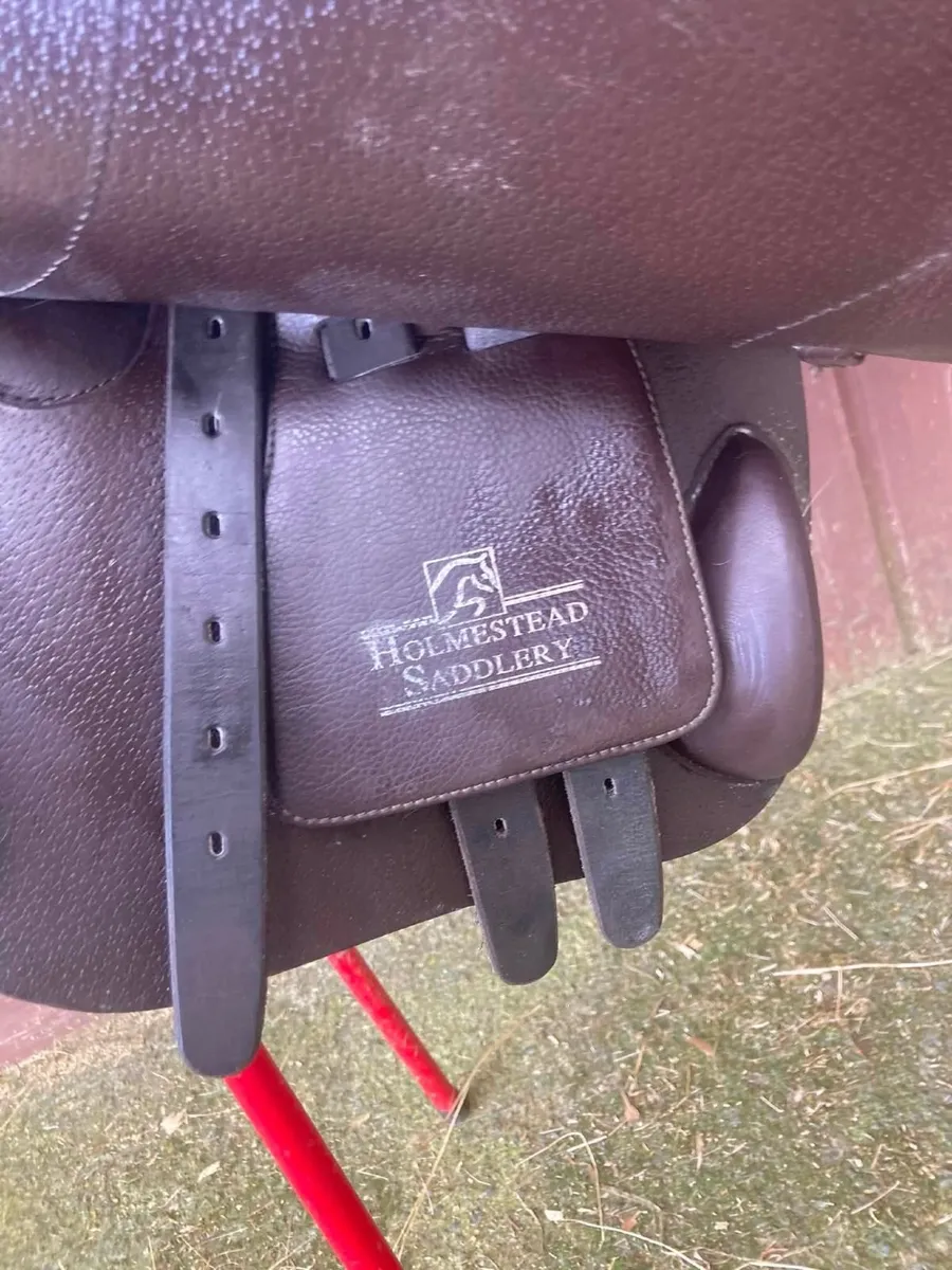 Pony Jumping Saddle  16in Selleria De Garda - Image 3
