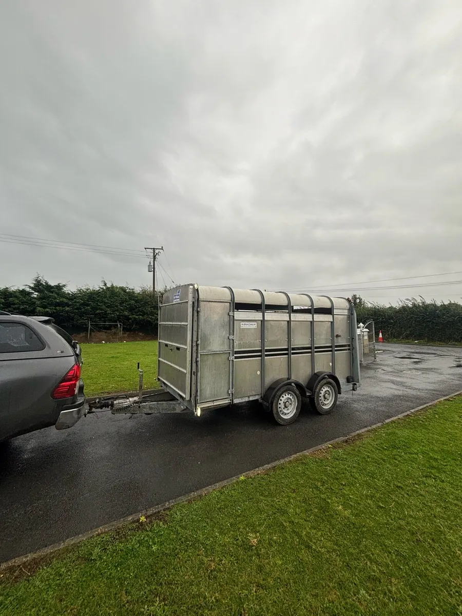 Iforwilliams cattle trailer - Image 2
