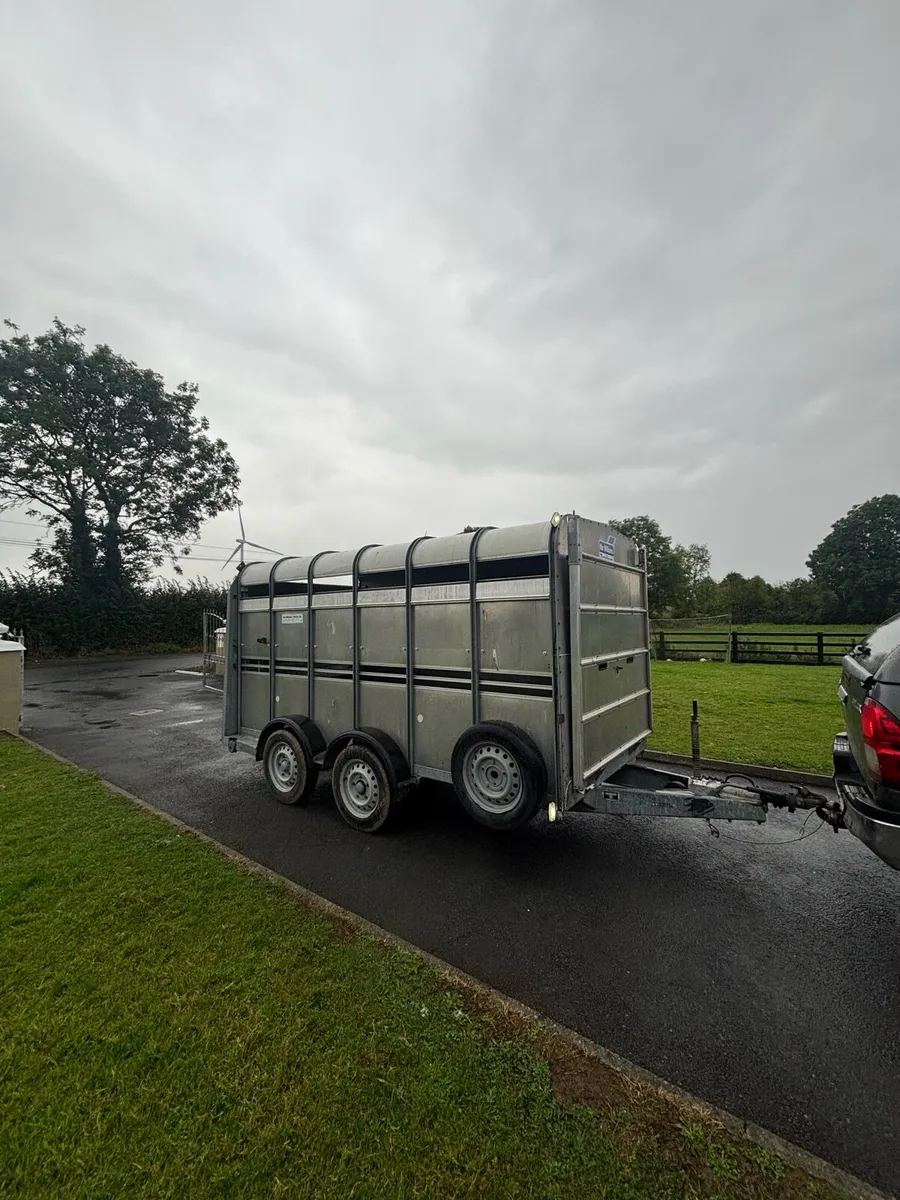 Iforwilliams cattle trailer - Image 1