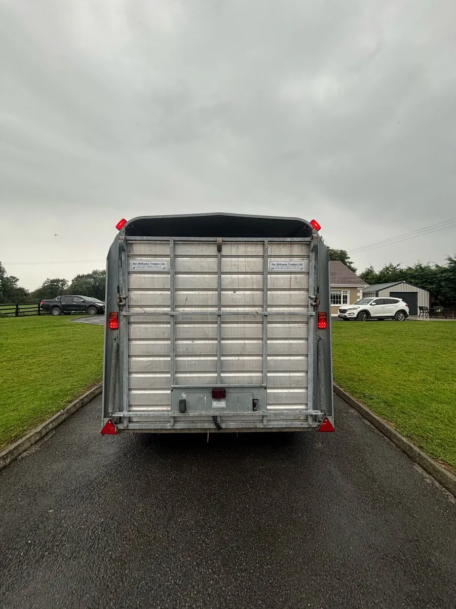 Iforwilliams cattle trailer - Image 3