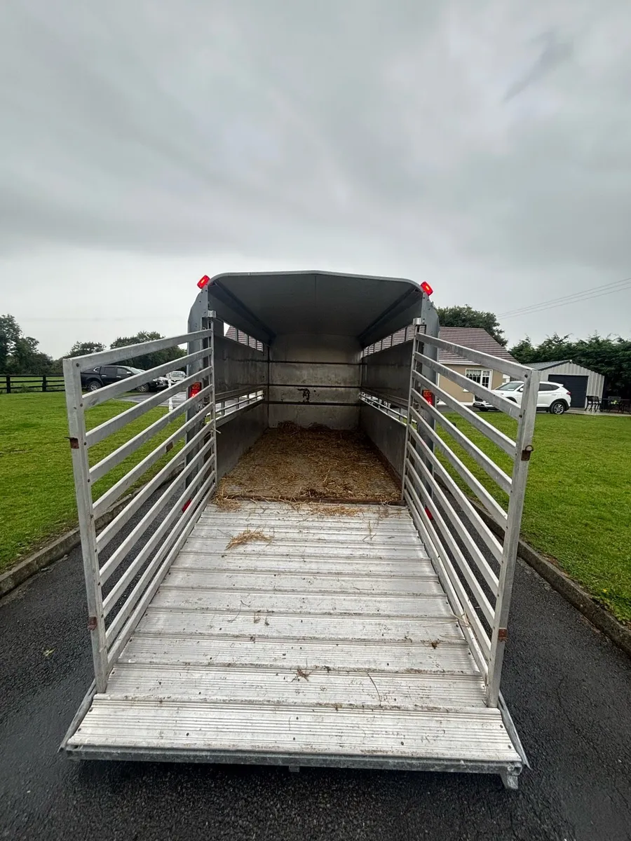 Iforwilliams cattle trailer - Image 4