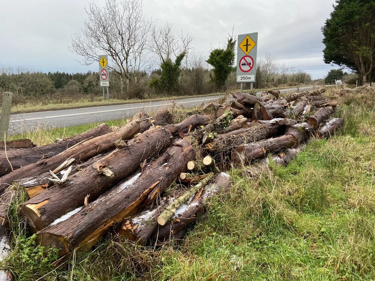 Fire wood - logs - sticks - Image 3