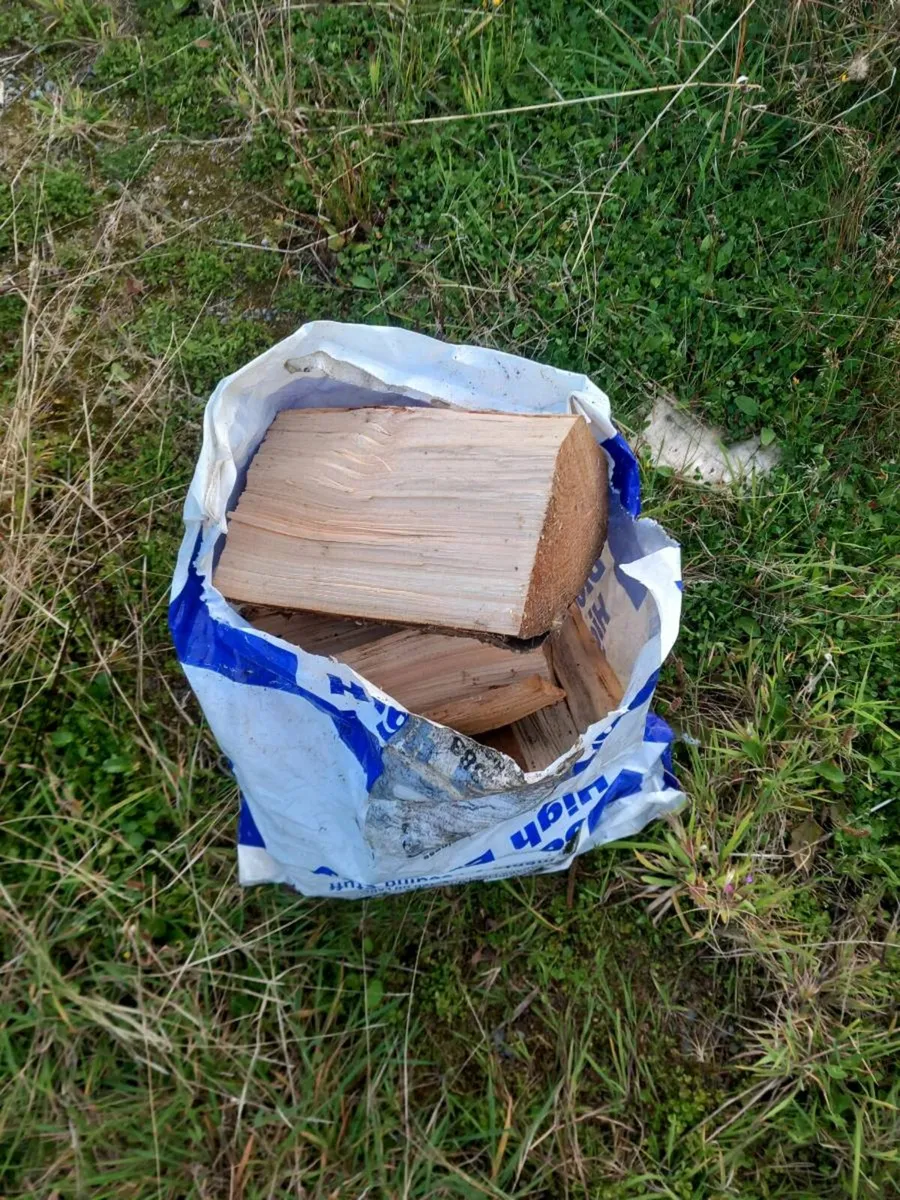 Fire wood 🪵 - Image 3