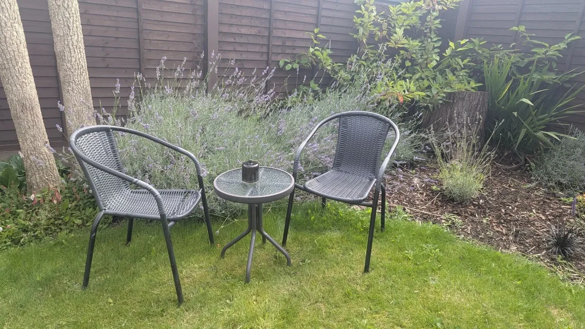 Garden chairs & table - Image 1