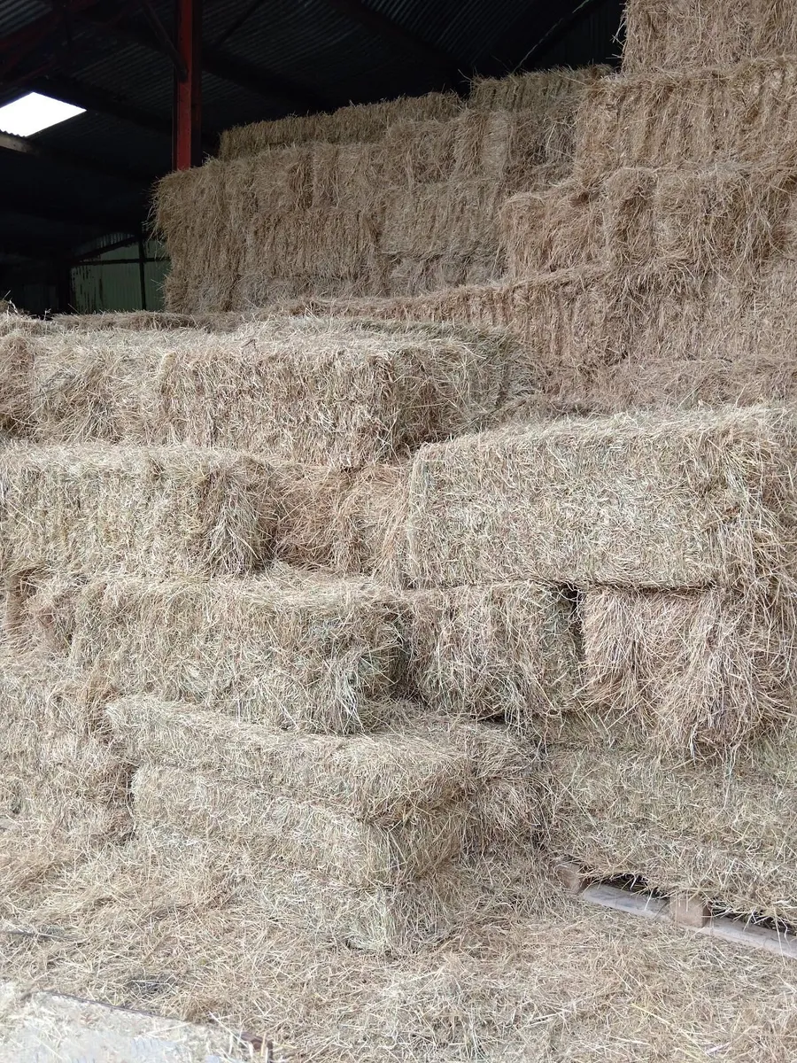 Square bales hay