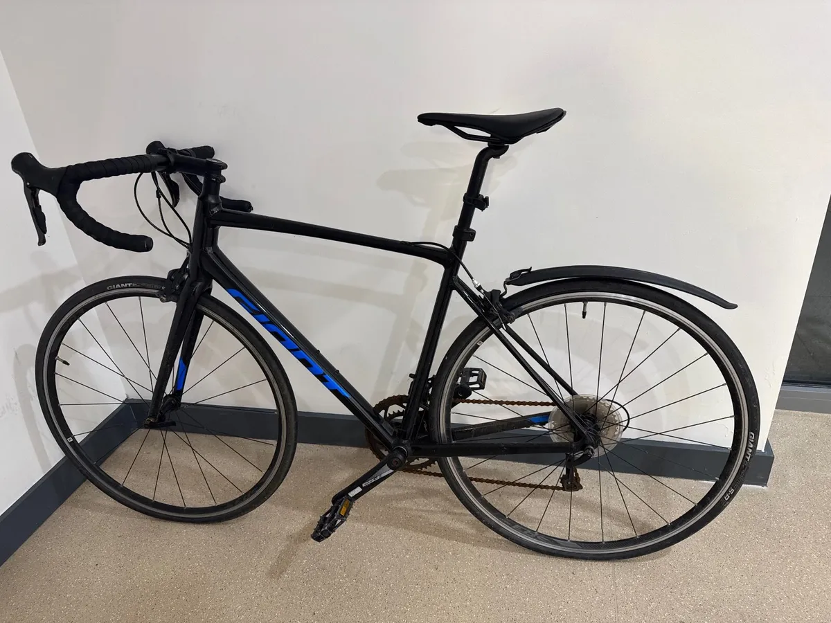 GIANT Contend Road Bike