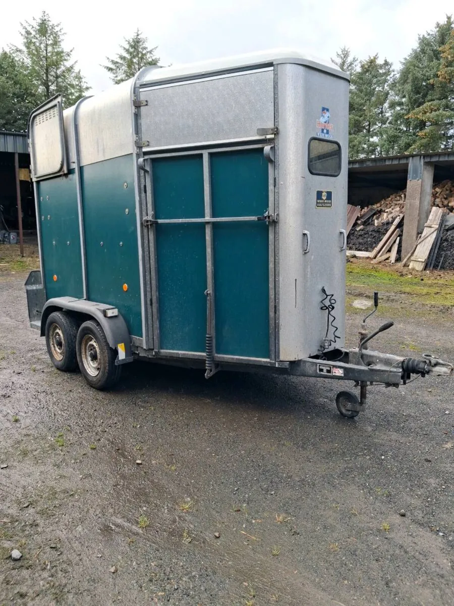 Horse box for saleH - Image 2