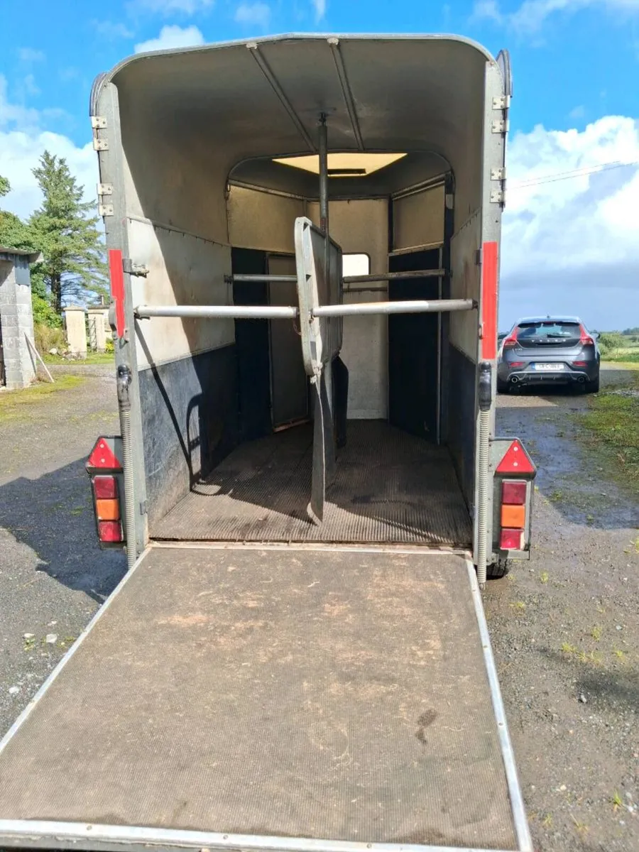 Horse box for saleH - Image 4