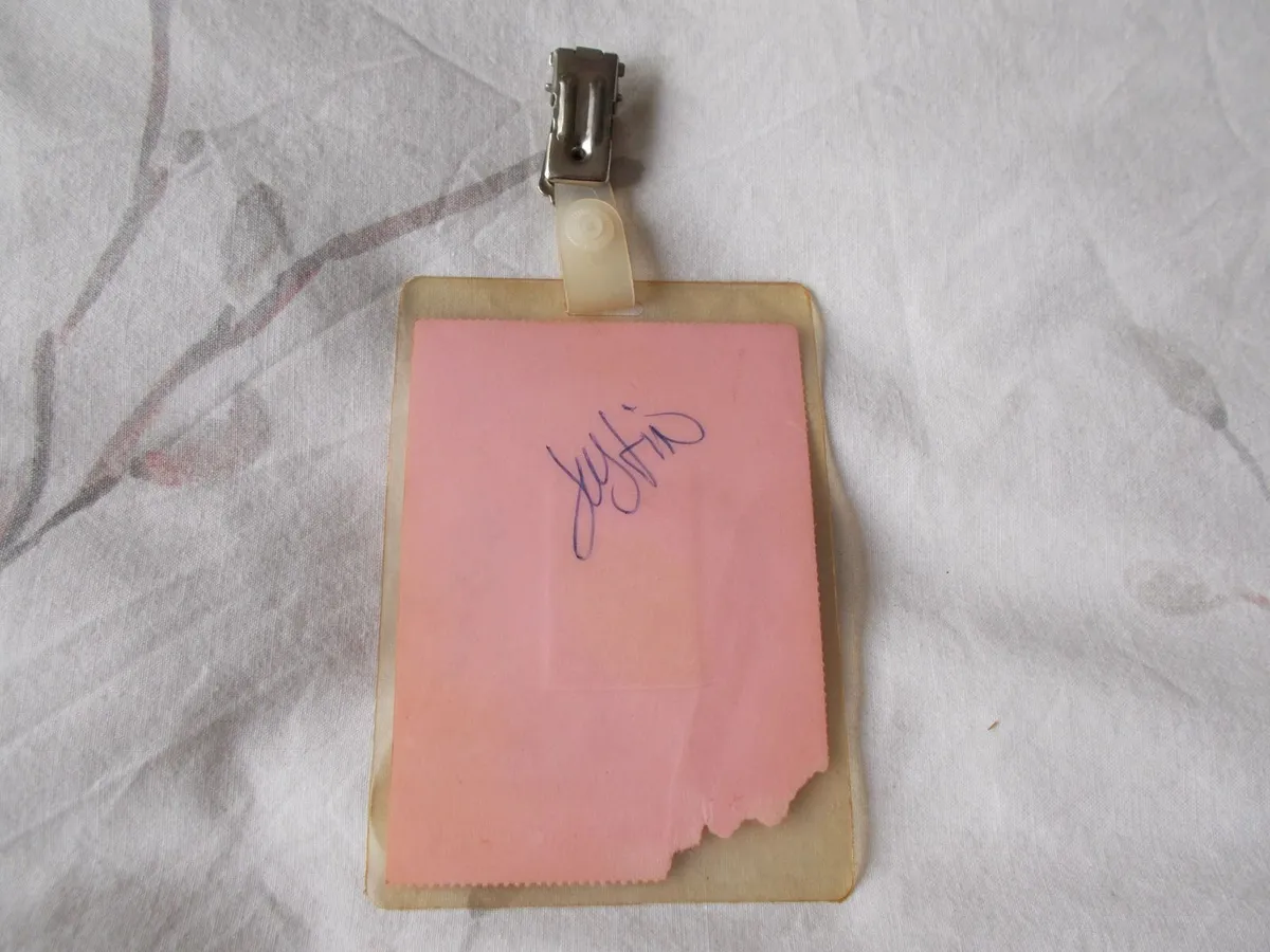 Feile 1991 Media Backstage Pass - Image 2