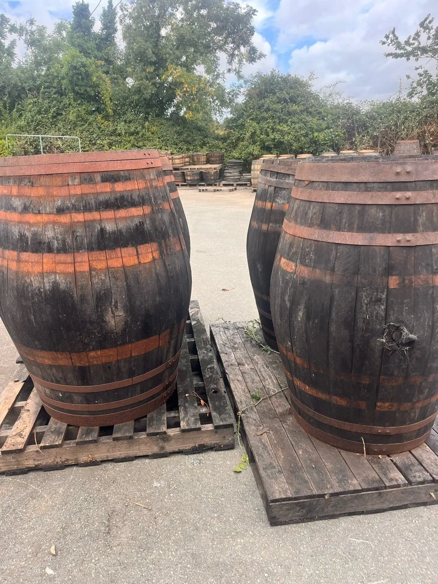 500L oak barrels for decoration or restoration - Image 3