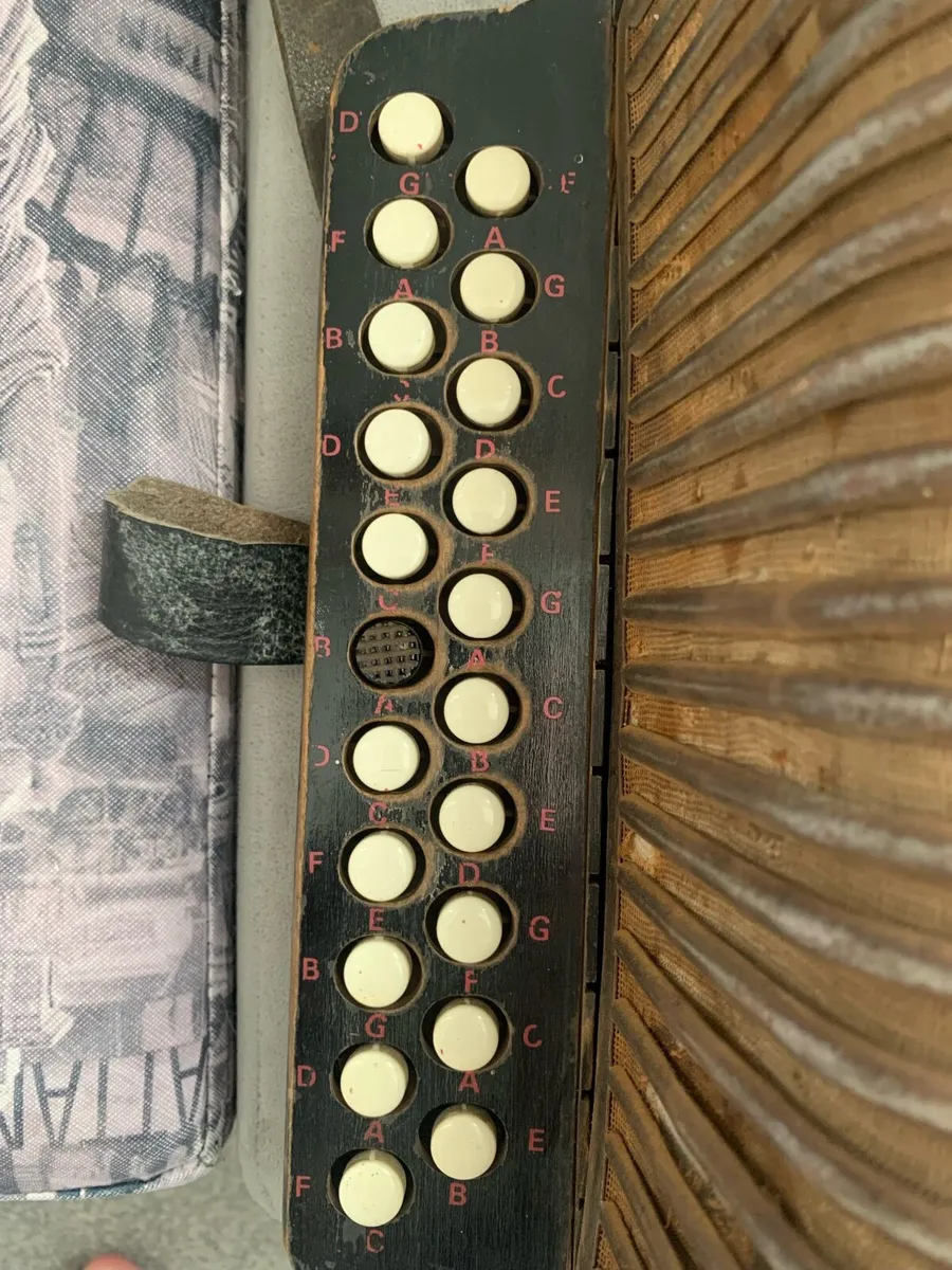 Black dot Accordion - Image 2