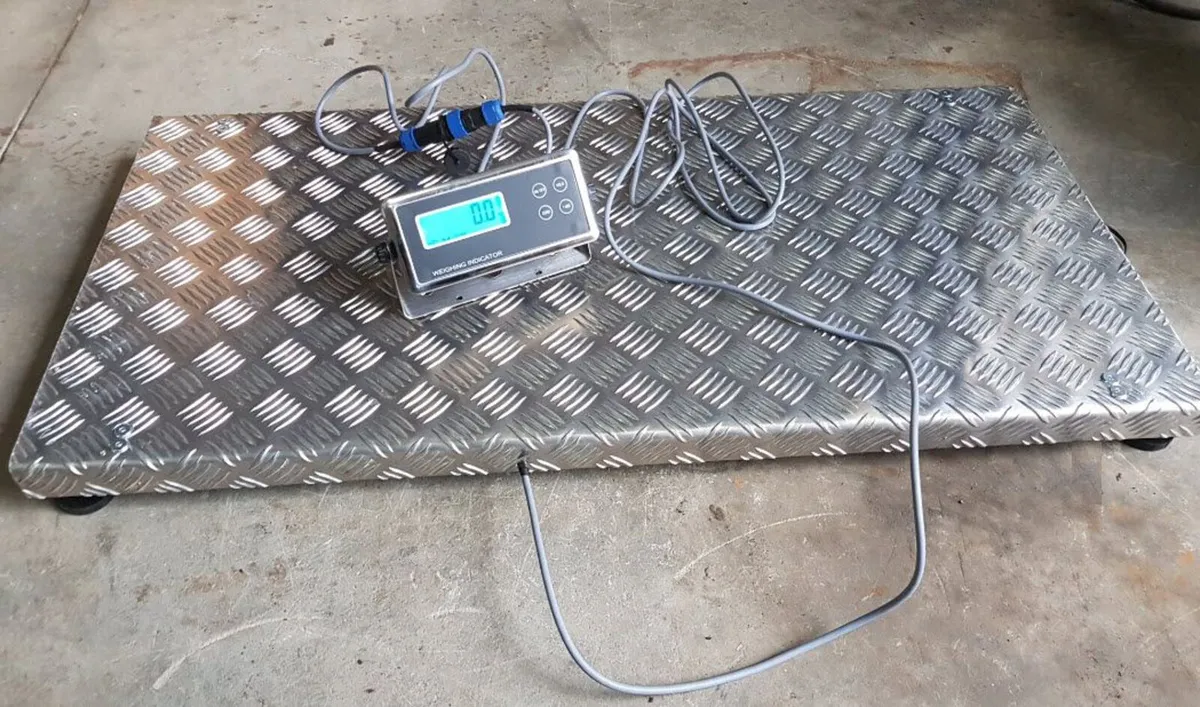 Platform scale up to 300kg - Image 2