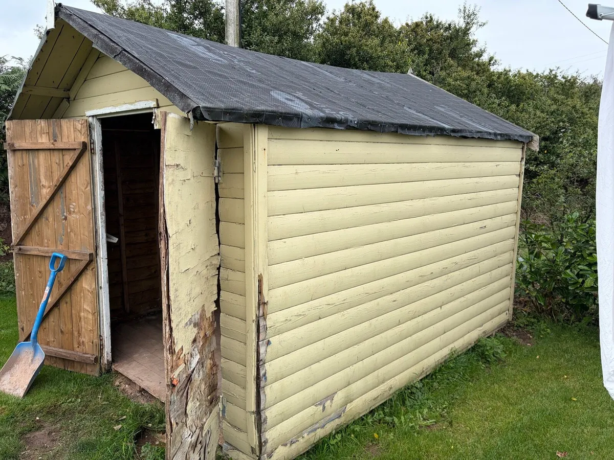 Timber Garden Shed - solid structure - Image 3