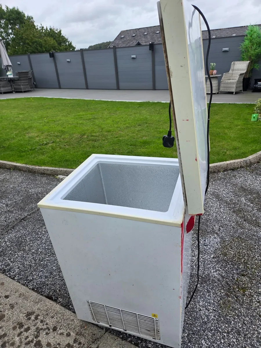 Freezer €100 ono - Image 3