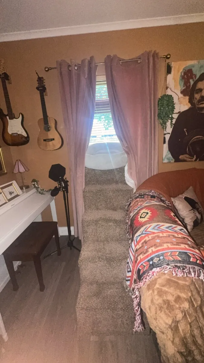 Dog stairs into window - Image 1