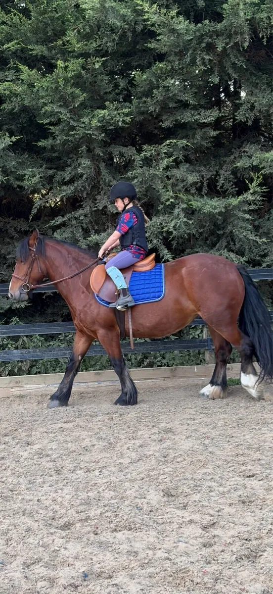 Smashing 4y old pony - Image 1