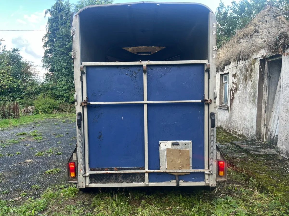 Ifor Willems 505 horse box - Image 2