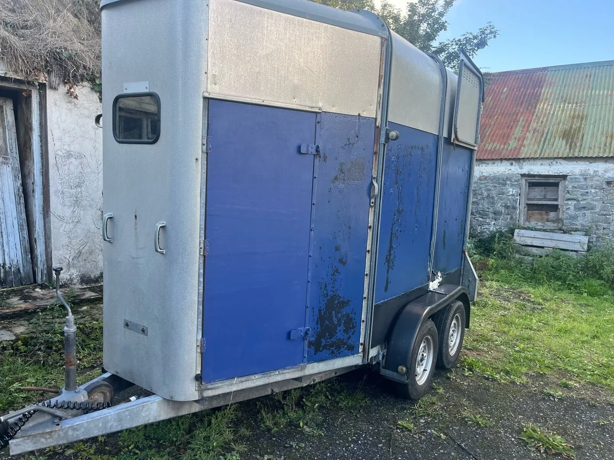Ifor Willems 505 horse box - Image 4