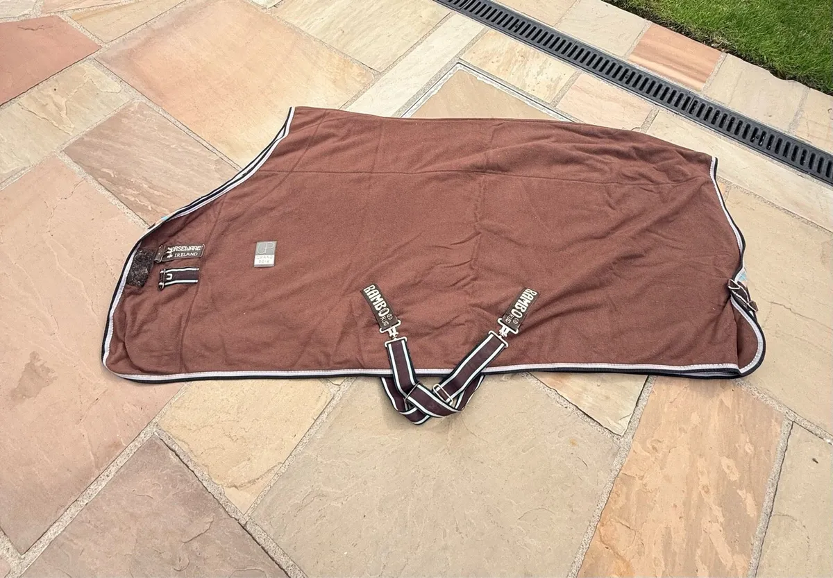 Pony indoor rug - Image 1