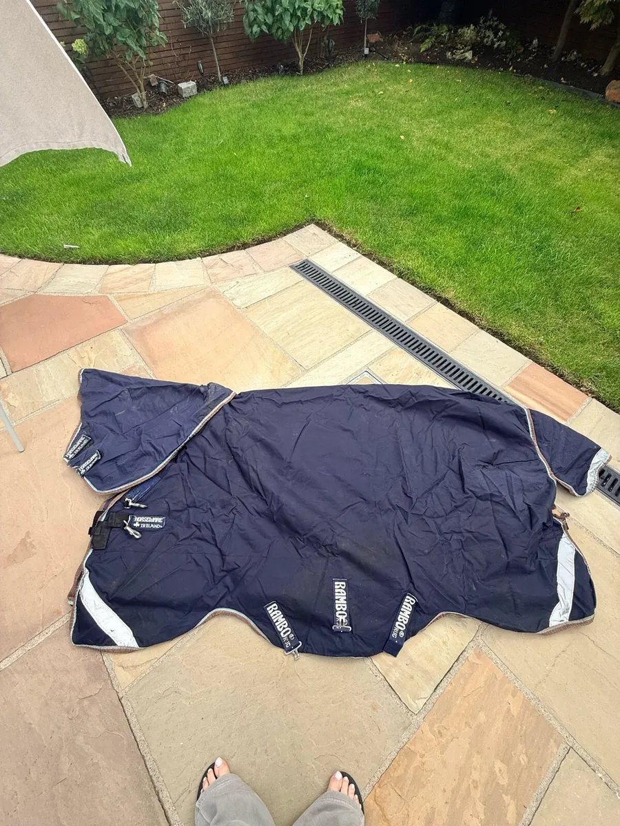Pony outdoor rug - Image 1