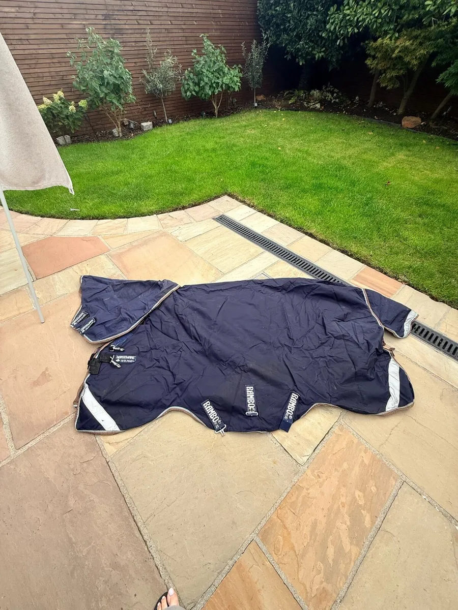 Pony outdoor rug - Image 2