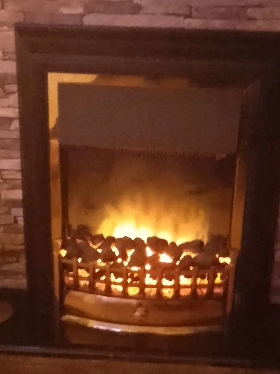 Dimplex electric Fire