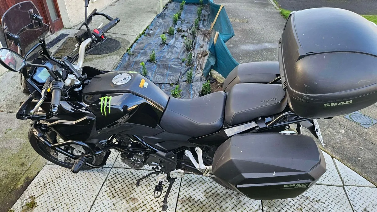 BENELLI Other 2019 - Image 3