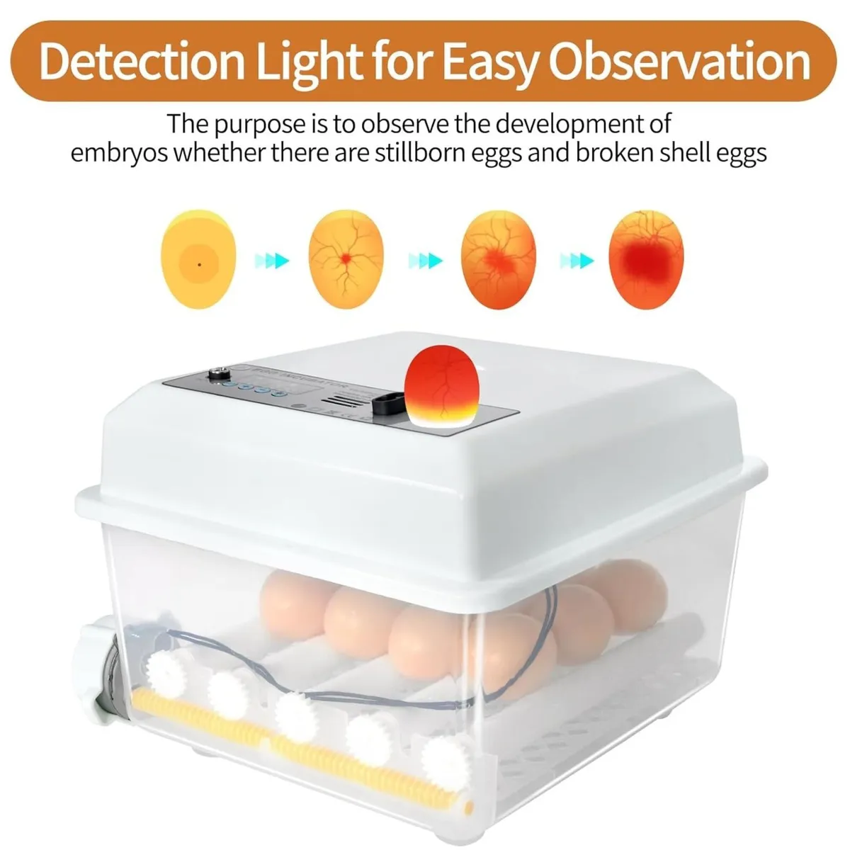 16 Egg Incubator Automatic Temperature Control - Image 4