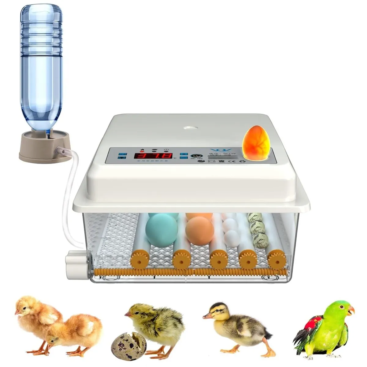 16 Egg Automatic Chicken Duck Egg Incubator - Image 2