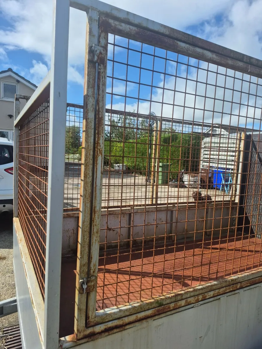 Twin Axle Trailer - Image 4