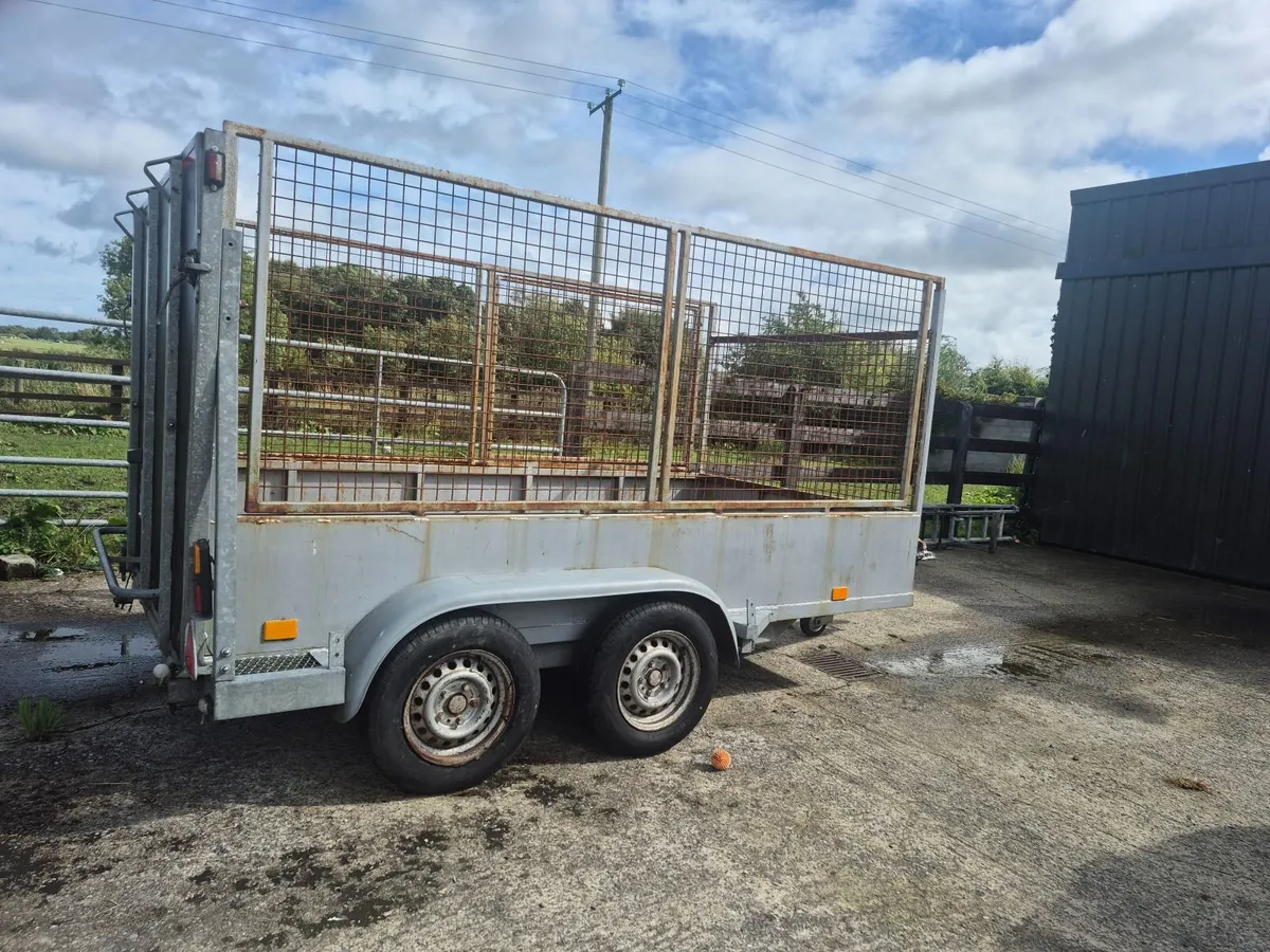 Twin Axle Trailer - Image 1