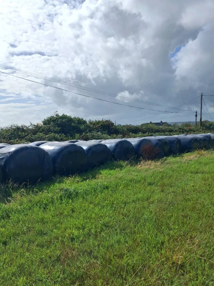 Silage Bales for sale also quicke loader - Image 1